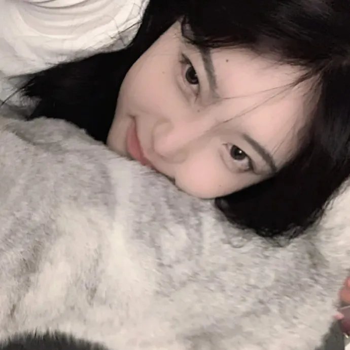 固执的爱